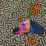 Animal Collective - Tangerine Reef '2018