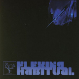 The Flashbulb - Flexing Habitual '2006