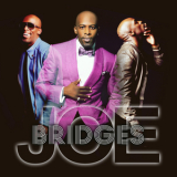 Joe - Bridges '2014