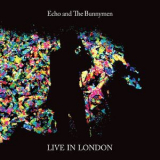 Echo & The Bunnymen - Live In London 2014 '2014