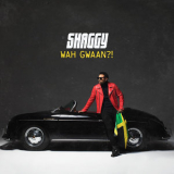 Shaggy - Wah Gwaan! '2019