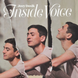Joey Dosik - Inside Voice '2018
