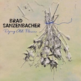 Brad Sanzenbacher - Dying Old Flower '2019