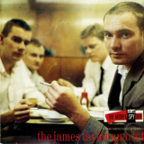 James Taylor Quartet, The - The Money Spyder '1987