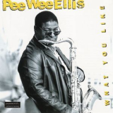 Pee Wee Ellis - What You Like '2010