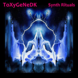 ToXyGeNeDK - Synth Rituals '2016