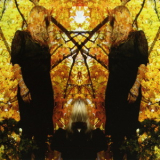 Austra - Feel It Break (Deluxe Edition) '2012