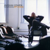 Avishai Cohen - At Home '2004