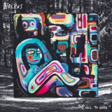 Walrus - Cool To Who '2019