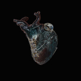 Seamus Blake - Guardians Of The Heart Machine [Hi-Res] '2019