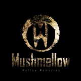 Mushmellow - Hollow Memories '2008