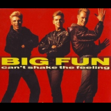 Big Fun - Can't Shake The Feeling '1989