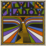 Twin Shadow - Twin Shadow '2021