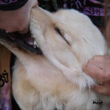 Fennesz & Jim O'rourke - It's Hard For Me To Say I'm Sorry '2016