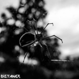 Distance - Crawler '2022