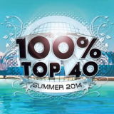 Audiogroove - 100% Top 40 Summer 2014 '2013