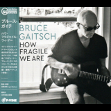 Bruce Gaitsch - How Fragile We Are '2023