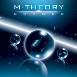M-Theory - Branes '2009