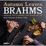 Zsolt Szatmari & Balazs Fulei - Autumn Leaves '2023