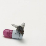 Red Hot Chili Peppers - I'm With You '2011