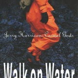 Jerry Harrison - Walk On Water '1990
