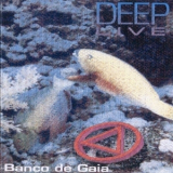 Banco De Gaia - Deep Live '1992