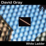 David Gray - White Ladder '2000