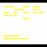 Muslimgauze - Veiled Sisters Remix '2002