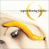 A Perfect Circle - Thirteenth Step '2003