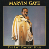 Marvin Gaye - The Last Concert Tour '1991