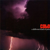 Cold - Wasted Years '2005