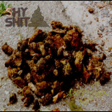 Shyshit - Feed The Master Shit (Limited Edition) '2000