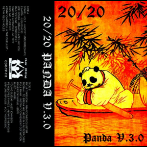 20/20 Panda V.3.0