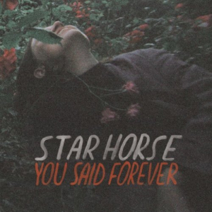 You Said Forever (Deluxe Version)