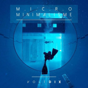 Micro Minimalisme Vol Dix