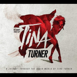 The Many Faces of Tina Turner