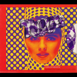 Hallucinations: Psychedelic Pop Nuggets from the WEA Vaults