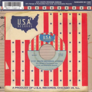 2131 South Michigan Avenue: 60s Garage & Psychedelia From U.S.A. And Destination Records