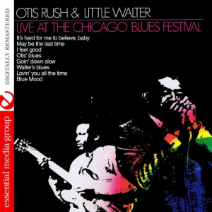 Live at the Chicago Blues Festival