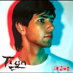 Tiga - Sexor