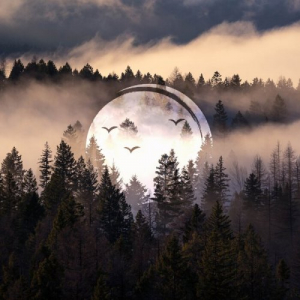 Echoes In The Valley Vol 9