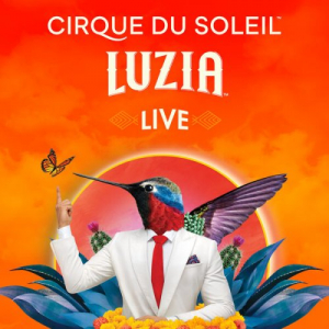 LUZIA (Live)