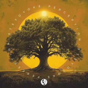 Steyoyoke Perception, Vol. 11