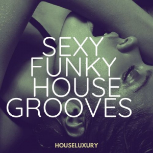 Sexy Funky House Grooves - Houseluxury