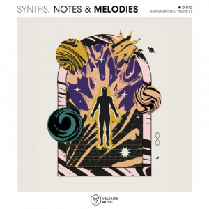 Synths, Notes & Melodies Vol. 12