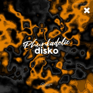Phunkadelic Disko Vol. 14