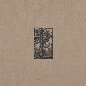 Sequoia