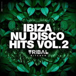 Ibiza Nu Disco Hits Vol. 2 (Tribal Kitchen)