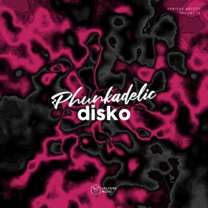 Phunkadelic Disko Vol. 15