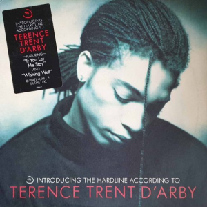 Introducing The Hardline According To Terence Trent D'Arby